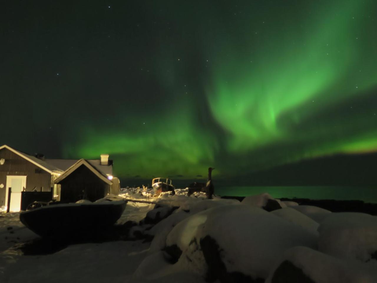 Hlid Fisherman'S Village Álftanes Exteriör bild